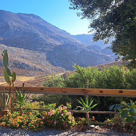 منزل الضيف Paránimfoi  في Wooden House At The Mountain-Private المظهر الخارجي الصورة