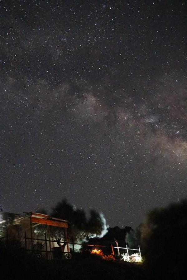 منزل الضيف Paránimfoi  في Wooden House At The Mountain-Private المظهر الخارجي الصورة
