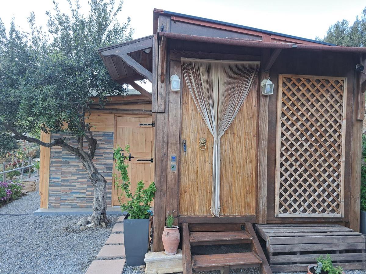 منزل الضيف Paránimfoi  في Wooden House At The Mountain-Private المظهر الخارجي الصورة