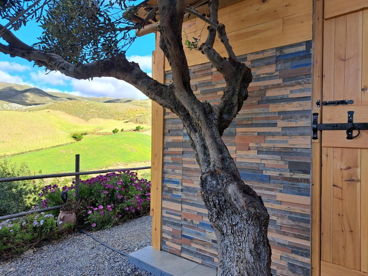 منزل الضيف Paránimfoi  في Wooden House At The Mountain-Private المظهر الخارجي الصورة