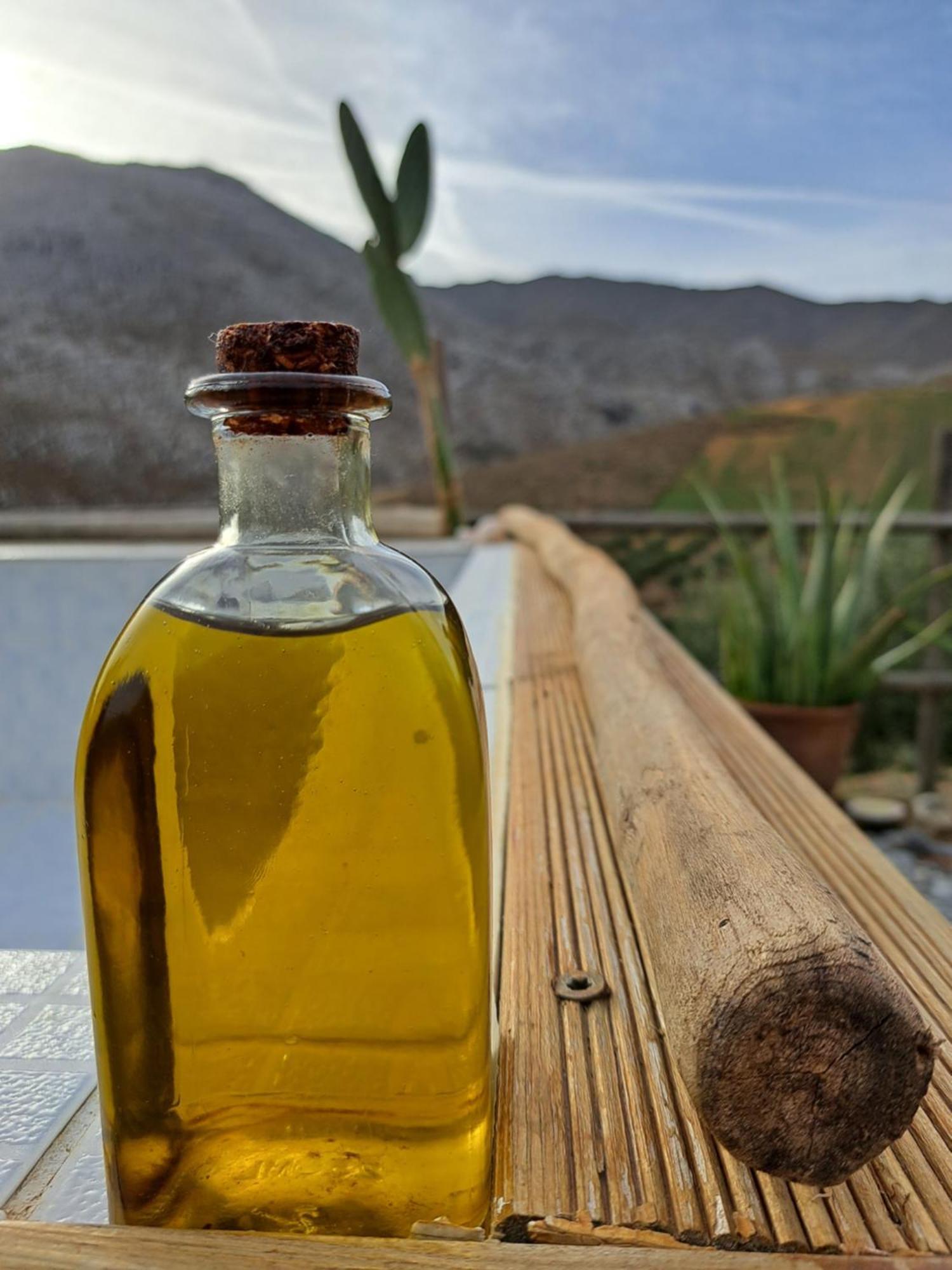 منزل الضيف Paránimfoi  في Wooden House At The Mountain-Private المظهر الخارجي الصورة