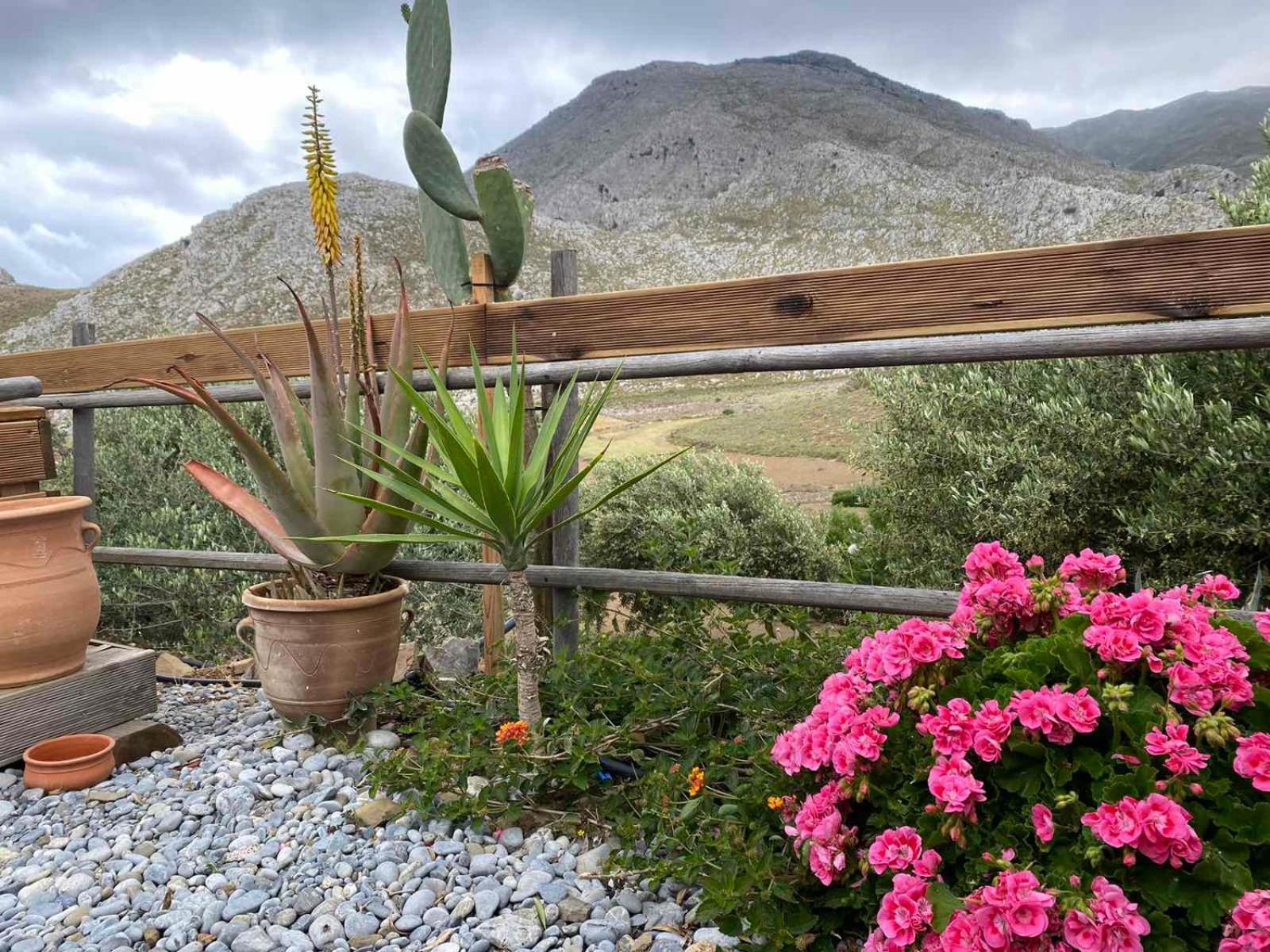 منزل الضيف Paránimfoi  في Wooden House At The Mountain-Private المظهر الخارجي الصورة