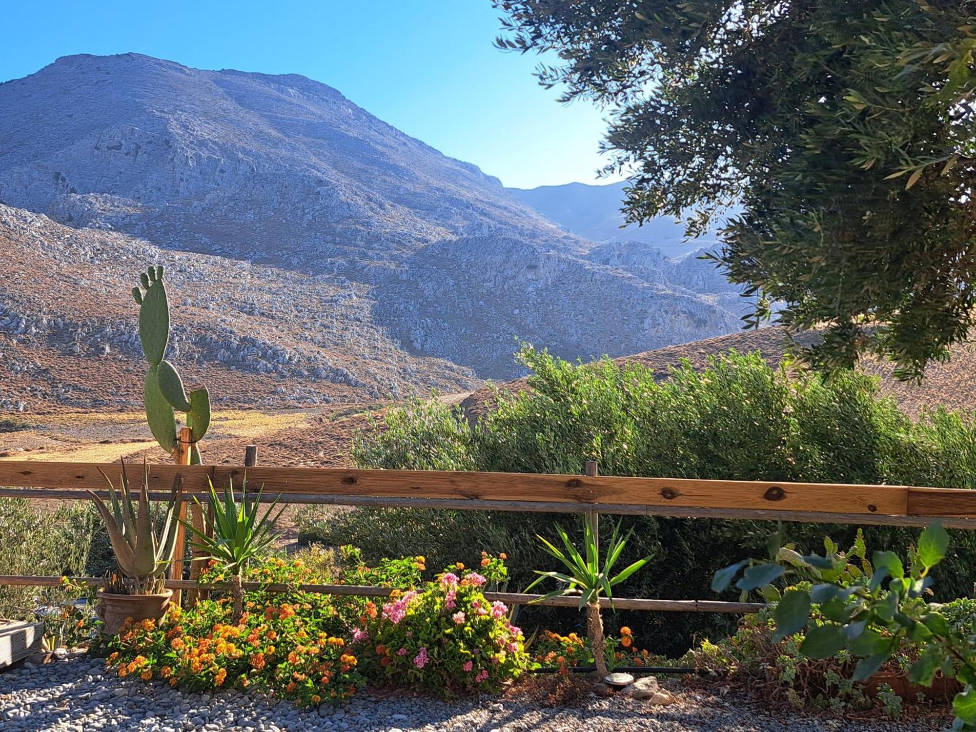 منزل الضيف Paránimfoi  في Wooden House At The Mountain-Private المظهر الخارجي الصورة